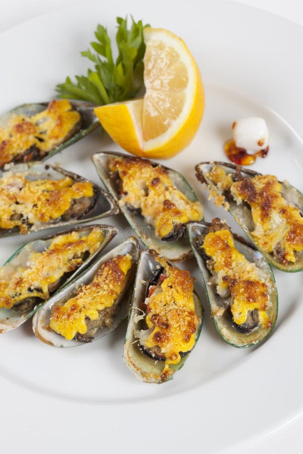 Musslor under ost arkivbild