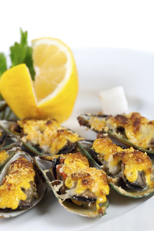 Musslor under ost royaltyfri fotografi