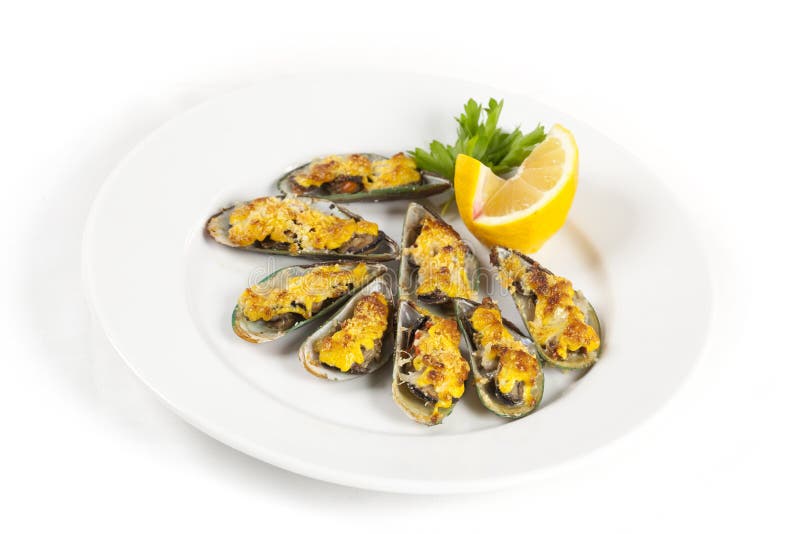 Musslor under ost fotografering för bildbyråer