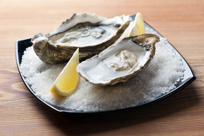 Ostras fotografia de stock