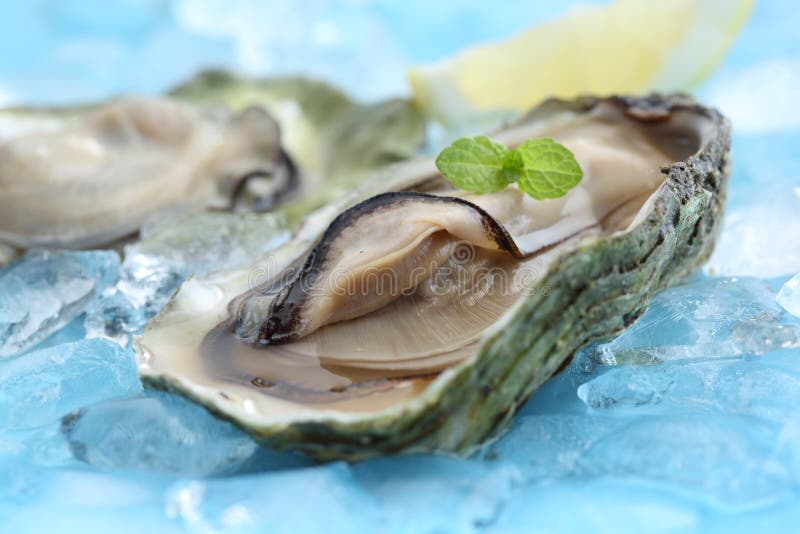 Ostras frescas cruas com sumo de limão foto de stock royalty free
