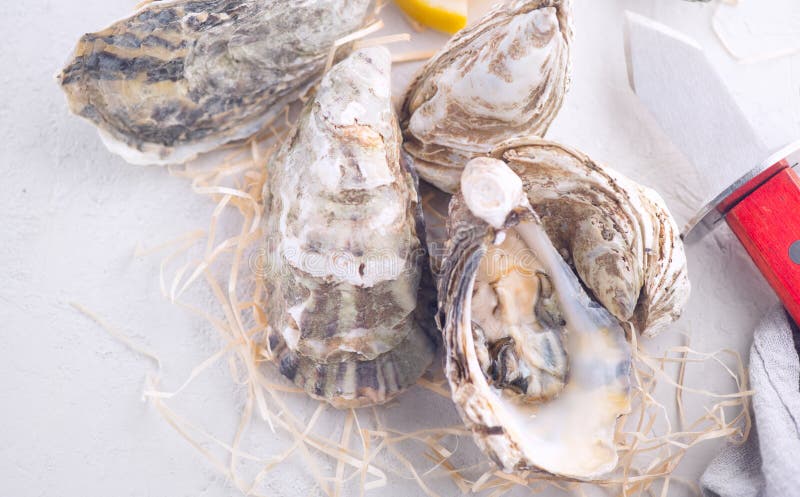 Ostras frescas cerradas con cuchillo, mesa servida con ostras Alimentos saludables para el mar Cena de ostras en el restaurante C foto de archivo Ostras frescas cerradas con cuchillo, mesa servida con ostras Alimentos saludables para el mar Cena de ostras en el restaurante C foto de archivo