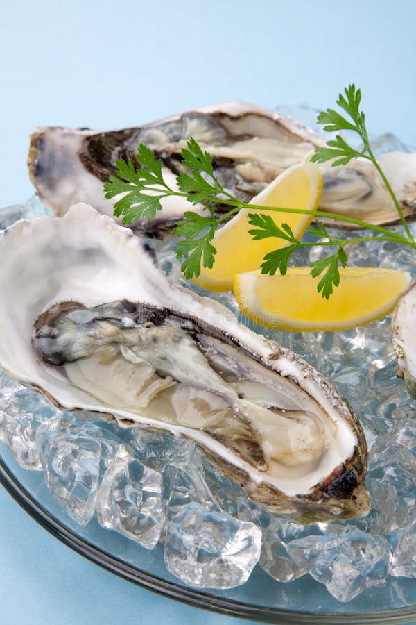 Ostras Frescas no Gelo fotografia de stock