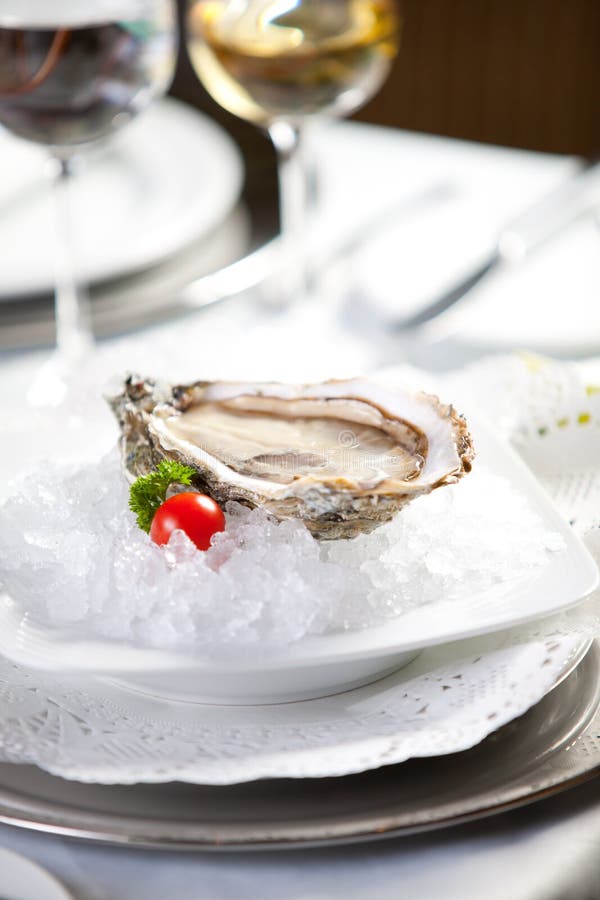 Ostras no gelo, pequena profundidade de campo fotos de stock royalty free