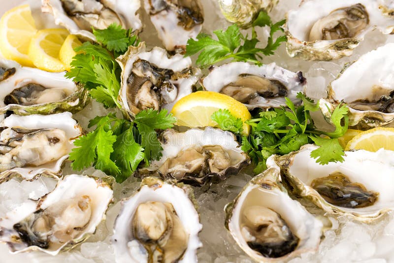 Ostras ao Natural fotos de stock royalty free