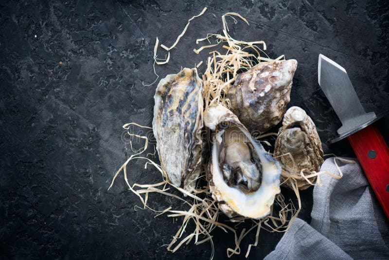 ostrica Ostriche fresche con il primo piano del coltello Ostriche sul fondo scuro dell'ardesia Alimento gastronomico flatlay fotografie stock libere da diritti ostrica Ostriche fresche con il primo piano del coltello Ostriche sul fondo scuro dell'ardesia Alimento gastronomico flatlay fotografie stock libere da diritti