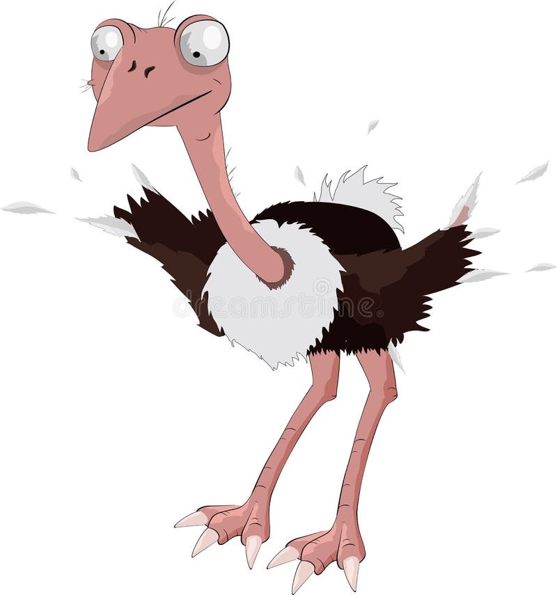 Ostrich