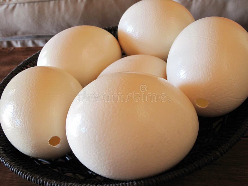 Ostrich eggs