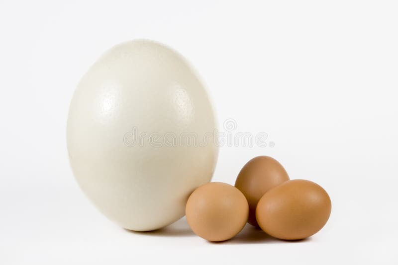 Ostrich and hen egg stock image. Image of protein, eating 4382571