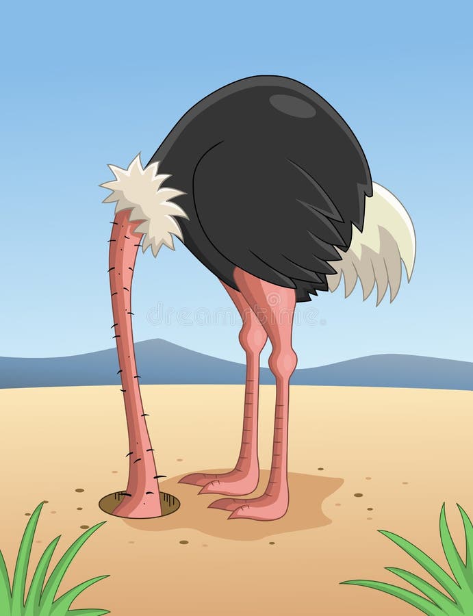 Ostrich Hiding Head In Sand Stock Vector - Illustration of animal ...