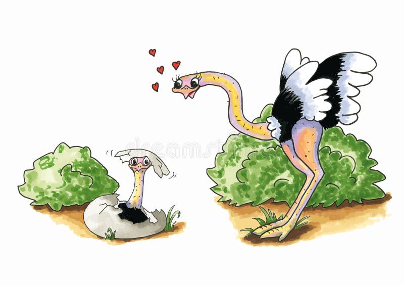 Ostrich With Young Stock Vector Image 53199470