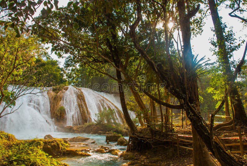 Oszałamiająco widok Agua Azul siklawa Chiapas, Palenque, Meksyk zdjęcie royalty free Oszałamiająco widok Agua Azul siklawa Chiapas, Palenque, Meksyk zdjęcie royalty free