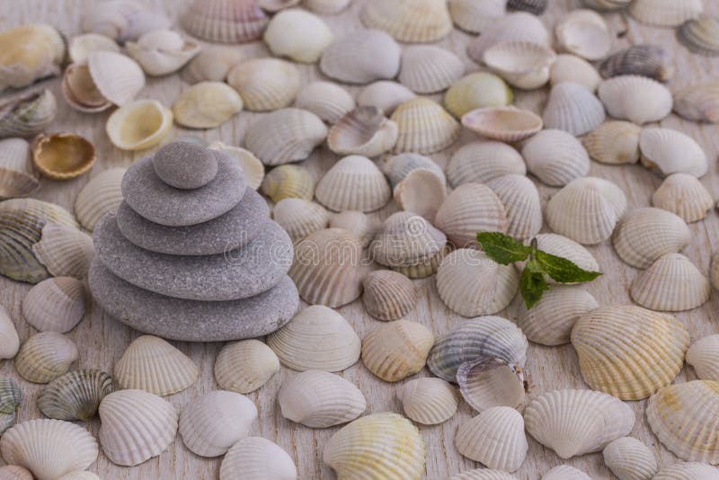 Otoczaki wykładali z ostrosłupem na tle seashells zdjęcia royalty free Otoczaki wykładali z ostrosłupem na tle seashells zdjęcia royalty free