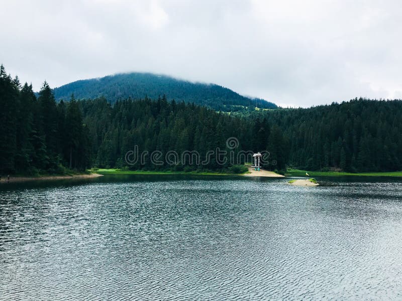Otoczony sosnami jezioro górskie. synewyr. ukraina fotografia stock