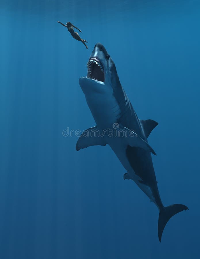 Megalodon stock illustration. Illustration of giant, shark - 24866648