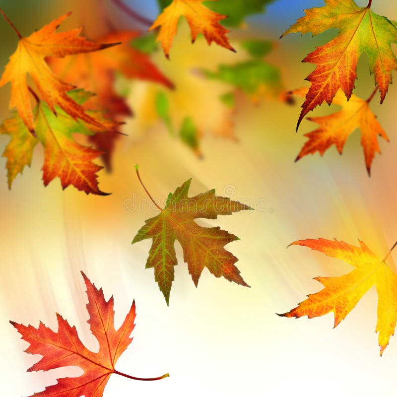 Otoño fotografía de archivo libre de regalías Otoño fotografía de archivo libre de regalías