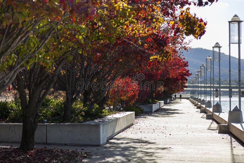 Otoño. Burley Griffin Lake. Canberra. Australia imágenes de archivo libres de regalías Otoño. Burley Griffin Lake. Canberra. Australia imágenes de archivo libres de regalías