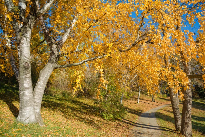 Otoño colorido en parque, Toronto, Canadá imagen de archivo Otoño colorido en parque, Toronto, Canadá imagen de archivo