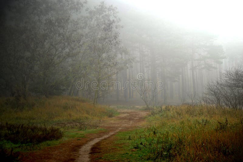 Otoño más forrest fotos de archivo Otoño más forrest fotos de archivo