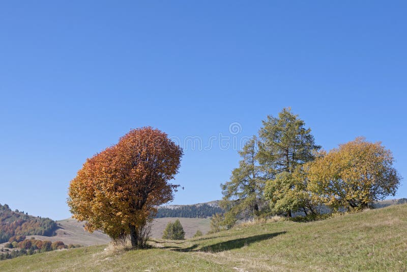 Ottobre dorato nelle montagne di Monte Bondone immagini stock libere da diritti Ottobre dorato nelle montagne di Monte Bondone immagini stock libere da diritti