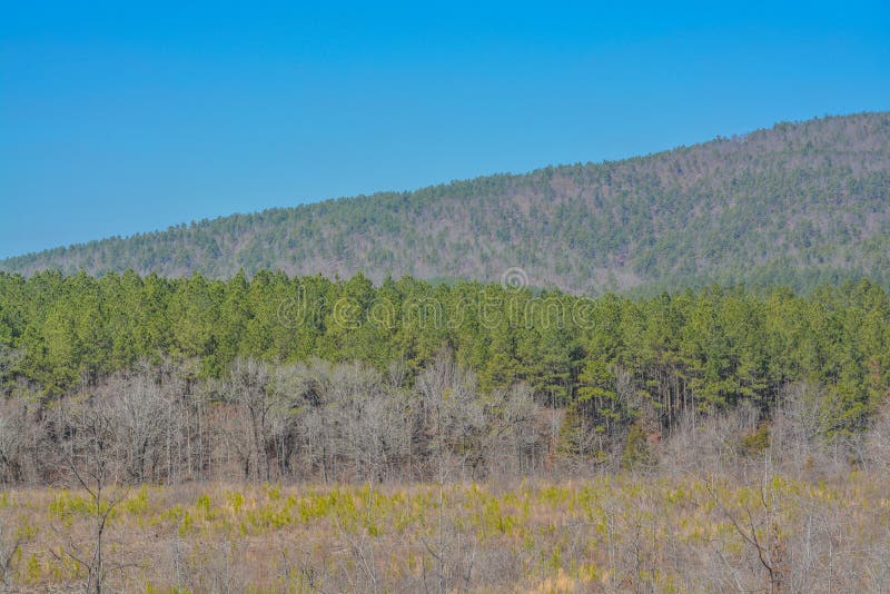 The Ouachita National Forest at Broken Bow, McCurtain County, Oklahoma