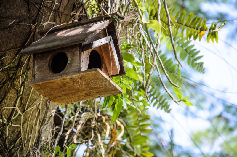 Old wooden birdhouse tied into the tree. Old wooden birdhouse tied into the tree