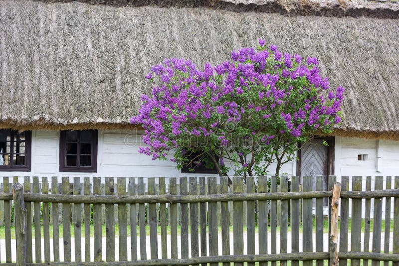 Oud traditioneel poetsmiddelblokhuis in openluchtmuseum, Tokarnia, Polen royalty-vrije stock afbeeldingen Oud traditioneel poetsmiddelblokhuis in openluchtmuseum, Tokarnia, Polen royalty-vrije stock afbeeldingen