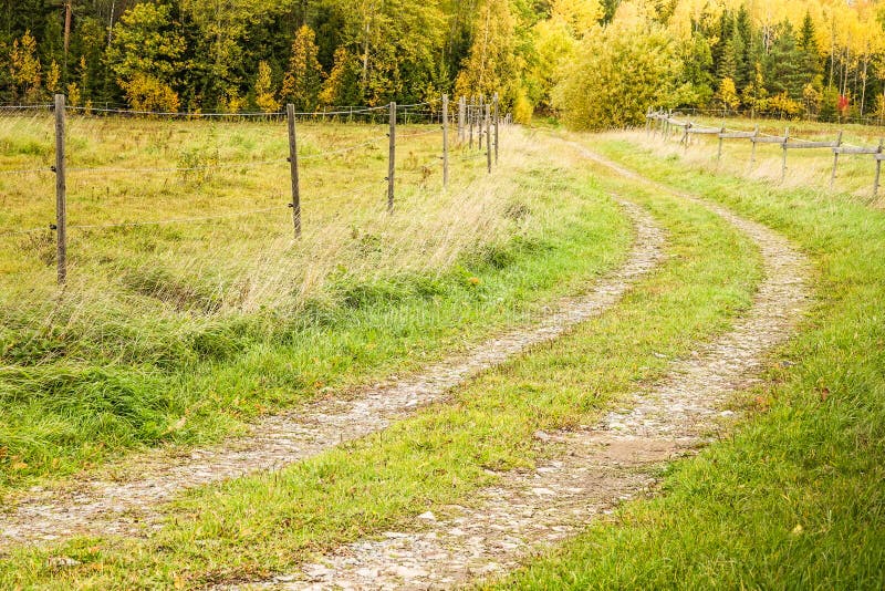 Oude bosweg Mooie de herfstdag stock foto