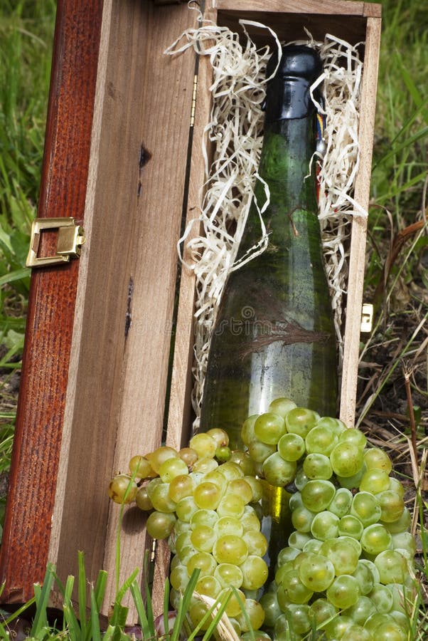 Oude fles witte wijn met druiven stock foto's Oude fles witte wijn met druiven stock foto's