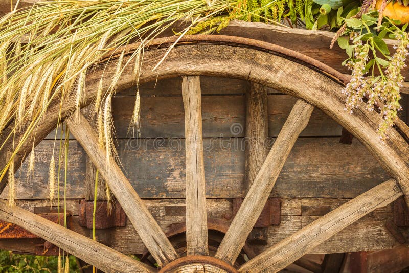 Oude houten die wagen met vers graangewassengewas wordt geladen stock afbeelding Oude houten die wagen met vers graangewassengewas wordt geladen stock afbeelding
