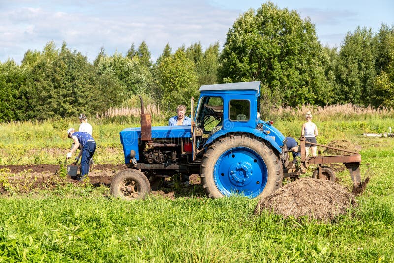 Oude landbouwtrekker die op wielen bij het aardappelgebied werken stock fotografie Oude landbouwtrekker die op wielen bij het aardappelgebied werken stock fotografie