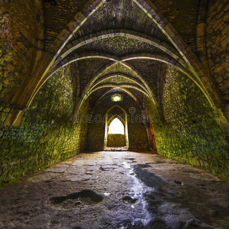 Ancient medieval room in a ruin with elegant Gothic arches in a vaulted ceiling with a door and window recess allowing in bright daylight. Ancient medieval room in a ruin with elegant Gothic arches in a vaulted ceiling with a door and window recess allowing in bright daylight