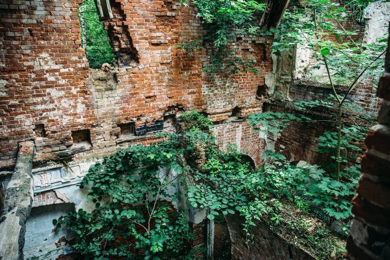 Oude ruïnes van een middeleeuws verlaten geruïneerd rood die baksteenkasteel met bogen met bomen en installaties worden overwoeke royalty-vrije stock fotografie Oude ruïnes van een middeleeuws verlaten geruïneerd rood die baksteenkasteel met bogen met bomen en installaties worden overwoeke royalty-vrije stock fotografie