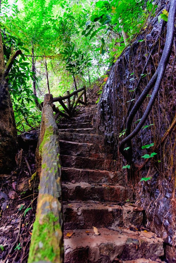 Oude trap in de jungle van vietnam