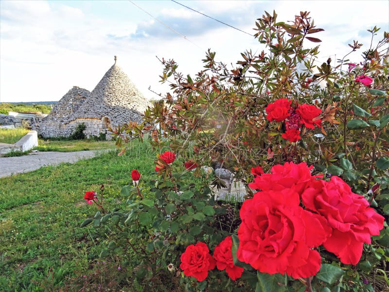 Oude Trulli, traditionele zeer oude huizen met rode rozen en andere aromatische planten royalty-vrije stock afbeeldingen Oude Trulli, traditionele zeer oude huizen met rode rozen en andere aromatische planten royalty-vrije stock afbeeldingen