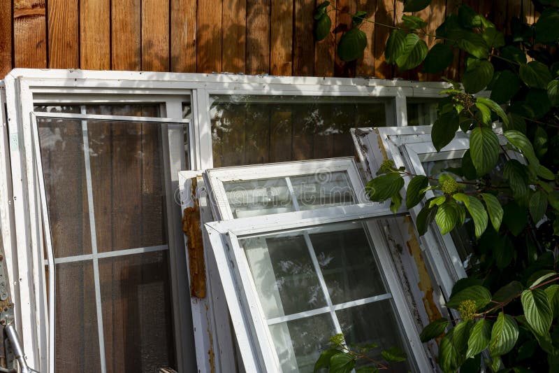 Oude Vintage Ramen en Braambossen royalty-vrije stock fotografie