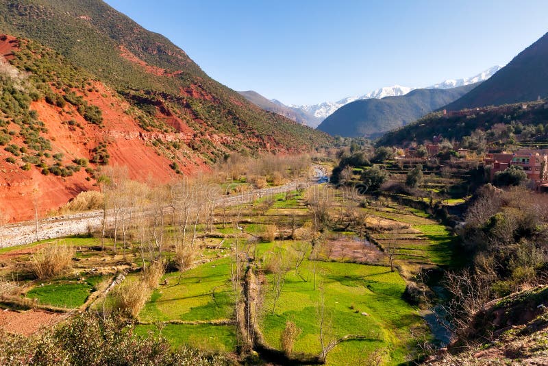 Ourika valley green fields