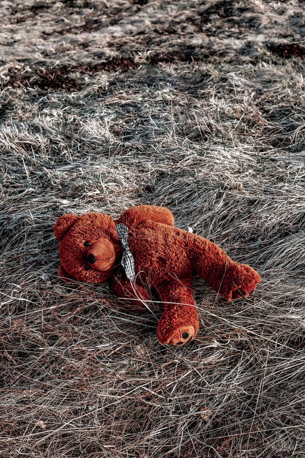 Ours En Peluche Brun Qui Se Cache Derrière Une Grange Rustique Photo stock  - Image du solitude, saleté: 248731896