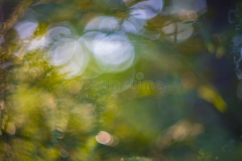 Out of focus blur with busy circular bokeh balls, flares with green, yellow and white tones