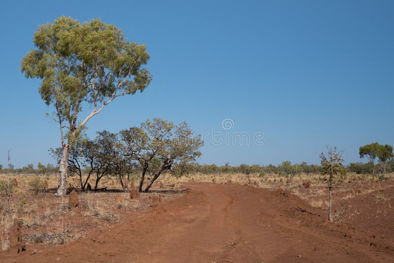 Outback Australia in drought conditions royalty free stock image Outback Australia in drought conditions royalty free stock image