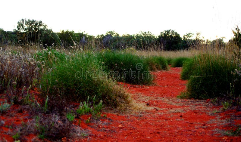 Outback Desert Path stock images