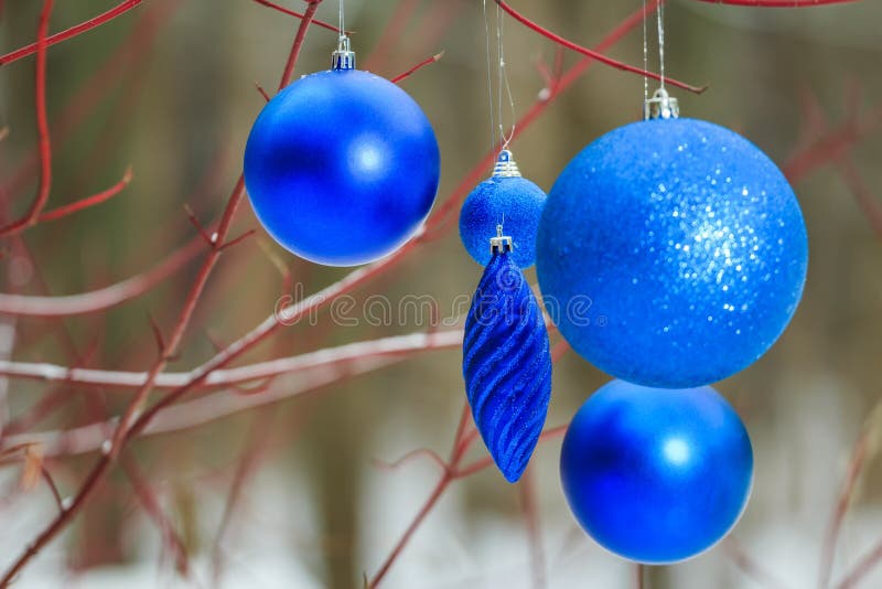 Outdoor Christmas decorations with deep blue sparkles bauble ornaments hanging on tree red branches