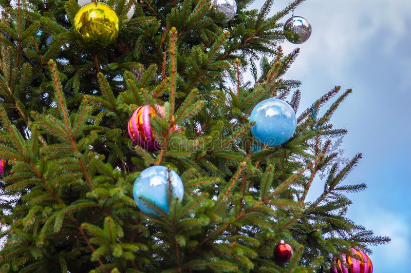 Outdoor Christmas Tree with Baubles on Stock Image Image of tree, baubles 204085707