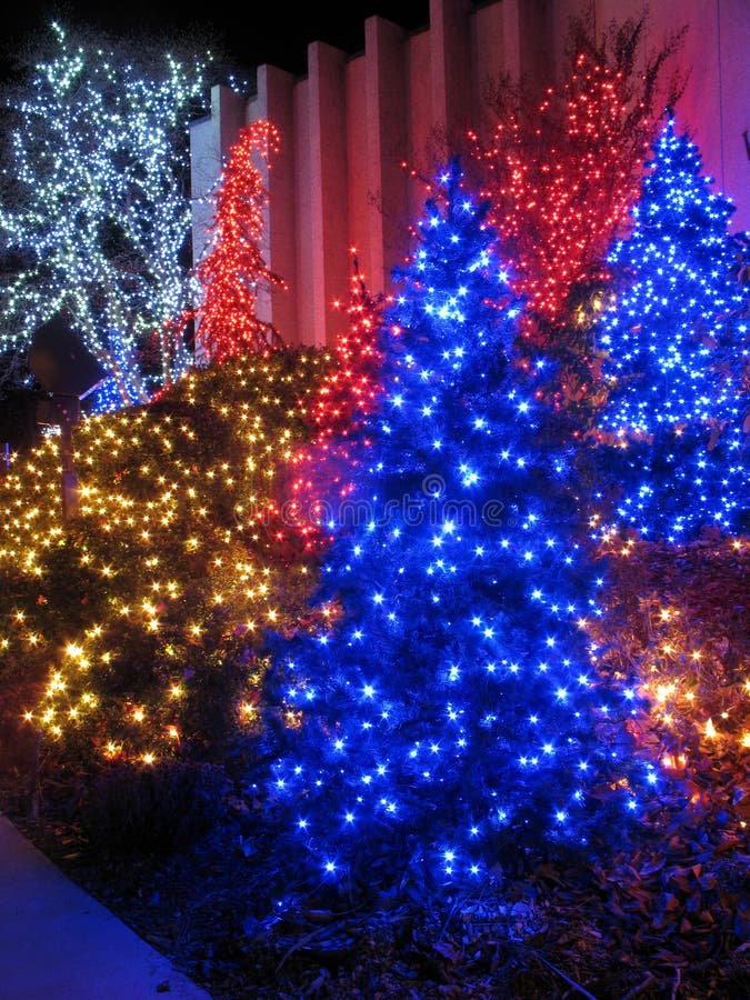 Blue Christmas Tree Pair stock image. Image of seasonal 12222161