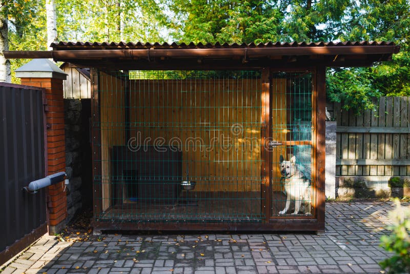 Outdoor Dog Kennel Enclosure on Front Yard Stock Photo Image of pooch
