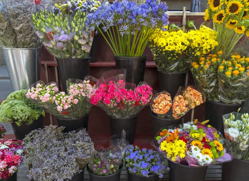 Outdoor Flower Market on Las Ramblas Stock Photo - Image of colorful ...