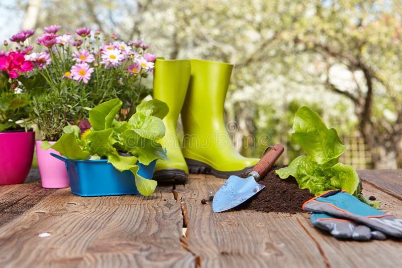 Outdoor gardening tools stock photo Outdoor gardening tools stock photo