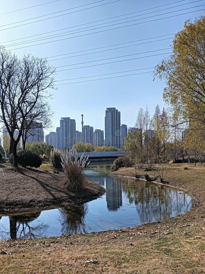 Outdoor lighting ideas: 32 ways to create a cozy glow | Gardeningetc