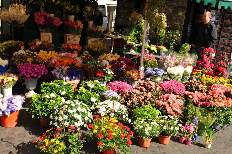 Outdoor Flower Market in Lisbon (Portugal) Editorial Photo Image of
