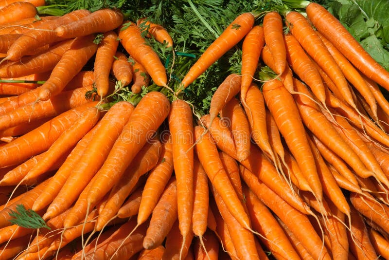 Outdoor market with fresh carrots in Paris